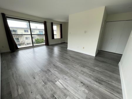 Newer Renovation 1 Bedroom Apartment - Photo 2