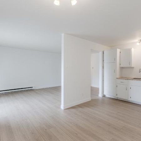 Appartement 5 ½ à louer Lévis juillet 2026 - Photo 4