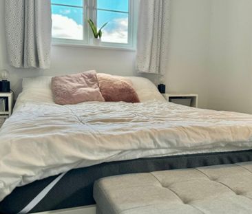 Bull Close - Photo 3