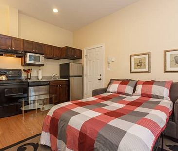 Pet Friendly All Inclusive Furnished Studio Suite - Photo 2