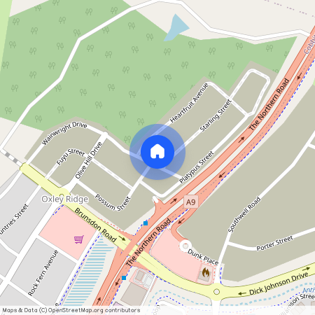 161 Wainwright Drive, NSW 2570, Cobbitty
