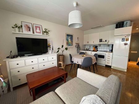 Tärnvägen 8N Studentlägenhet - Photo 3