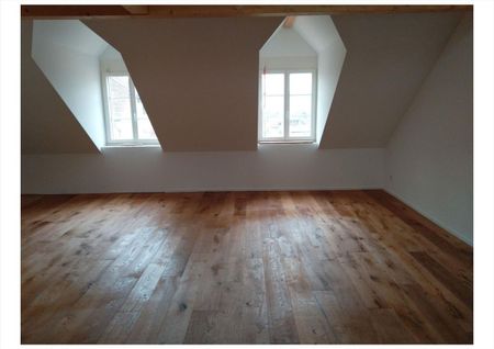 Très joli appartement 5,5 pièces en duplex avec mezzanine très chaleureux complè - Foto 2