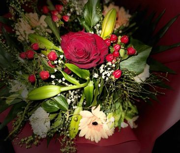 Suche wohnheim - Foto 1