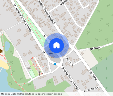 VILLA MALINKA - apartamenty w Zaniemyślu - Фото 1