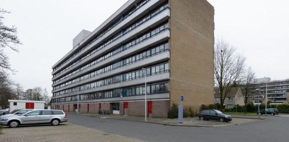 Rümkelaan, 3571 XZ Utrecht, Nederland - Foto 2