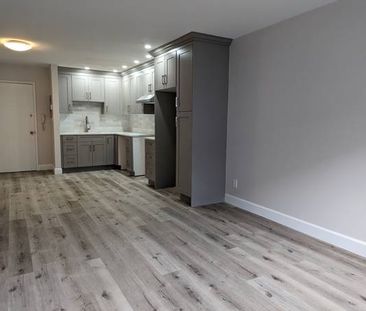 Exquisite, Newly Renovated Spacious Apartment in Ladner!! - Photo 1