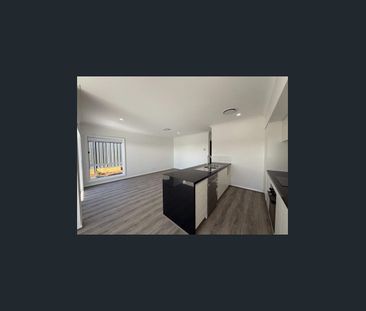 1/3 Millhouse Cl, Farley, NSW 2320 - Photo 2