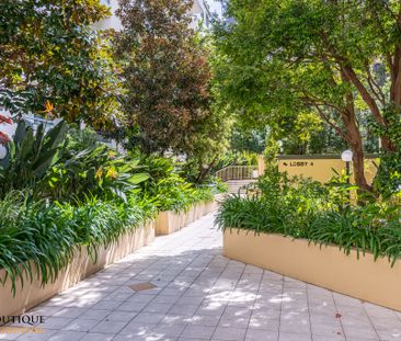 237/102 Miller Street, Pyrmont NSW 2009 - Apartment For Rent | Domain - Photo 4