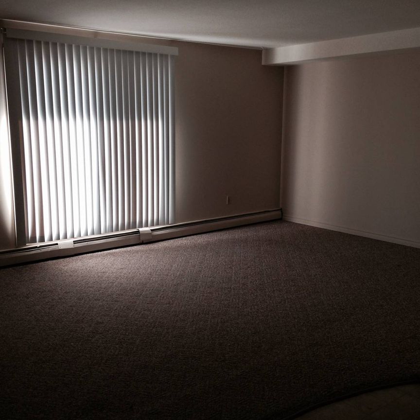 Blue Heron - Photo 1