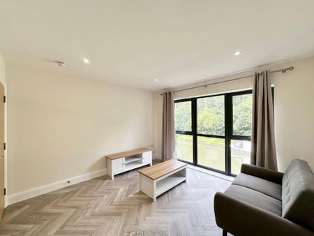 1 bedroom flat to rent - Photo 2