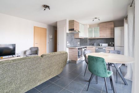 Location Appartement 2 pièces Meublé 44m² ANNECY 74000 - Photo 2