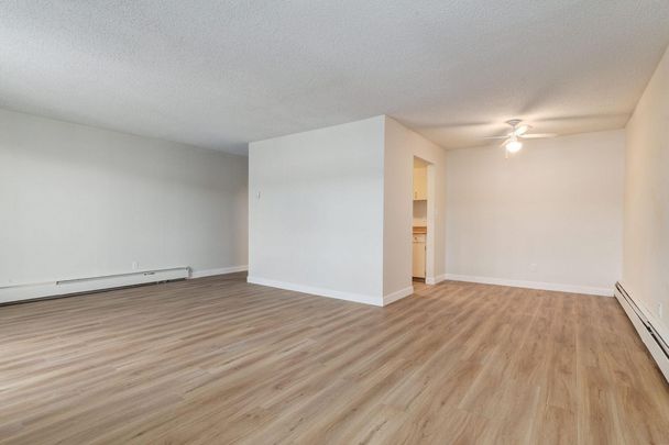 1 Bedroom - Photo 1
