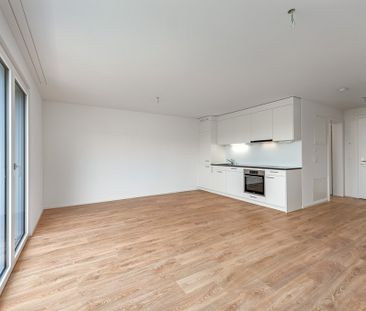 Wohnung nahe Altstetten Bahnhof - Stadt und Natur vereint - Photo 3