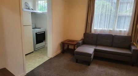 Charming 2BR Flat in Georgetown! - Photo 4