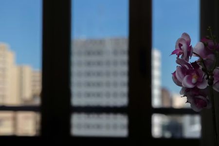 Avinguda de Pius XII, Valencia, Valencian Community 46009 - Photo 3