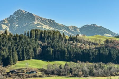 Sonniger Rückzugsort am Waldrand des Astberges - Photo 3