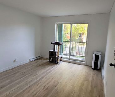 615#3 des Forges Trois-Rivières - Photo 3