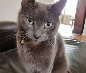 Scarborough - Photo 2