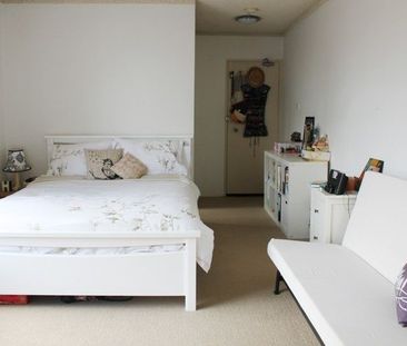 14/12-16 Chelsea Street, Redfern NSW 2016 - Studio For Rent | Domain - Photo 2