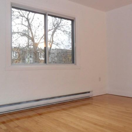 LOGEMENT A LOUER - Photo 4