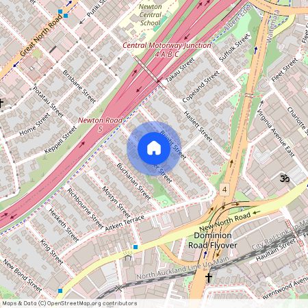 19 Alexander Street, Kingsland, Auckland