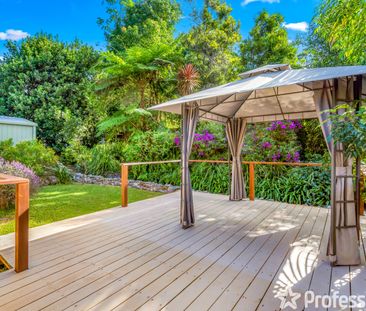 7 Mayon Court, Tamborine Mountain QLD 4272 - Photo 3