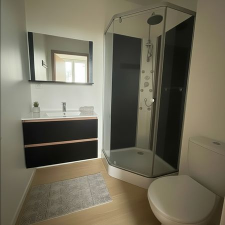 Location Appartement 1 pièce 26m² ROANNE 42300 - Photo 3