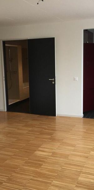 3.5 Zimmer Wohnung - Foto 1