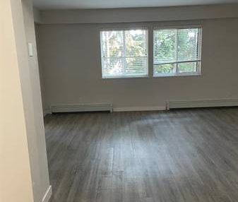 (8788 Fremlin) Pet-friendly One Bed Apartment for Rent - Photo 4