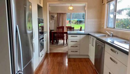 Single level home with 4 bedrooms and 2 Bathrooms - Photo 4