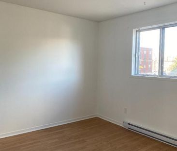 logement à louer 4 1/2 rénové - Photo 2