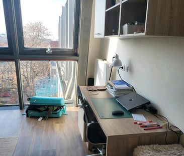Studenten Apartment zu vermieten- Nachmieter gesucht in Freiburg - Photo 5