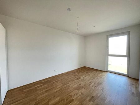 Wohnen wie im Urlaub! Seestadt mit herrlicher Seesicht! 71 m² WNFL + 48 m² Terrasse im 5.OG, Küche möbliert, 2 Zimmer! - Photo 3