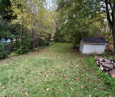 For Lease - 137 Gurnett Street Unit# Bsmt, Aurora, Ontario - Photo 3