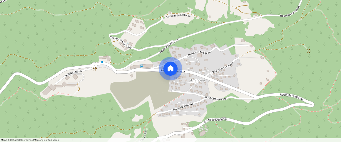 Aminona 3963, Aminona