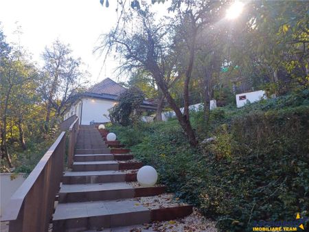 Pet friendly! Casa improspatata, pe 1.000 mp teren, pozitie - Fotografie 5