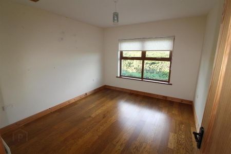 56a Drumroe Road, Strangford, BT30 7AR - Photo 4
