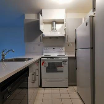 1 bedroom + 1 bathroom (2nd-Floor @8650 Hudson Street) - Photo 1