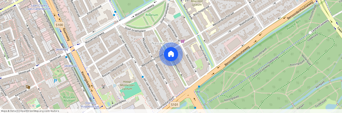 Nassaubuurt, 2596 AP, Jozef Israëlslaan, Den Haag