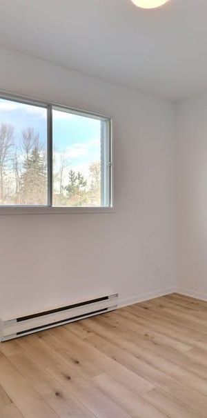 4 ½ à Saint-Jacques entièrement rénové - disponible dès maintenant - Photo 1