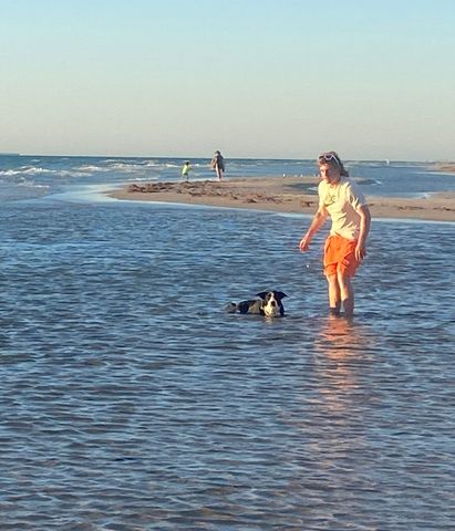 Toorak Gardens - Photo 4