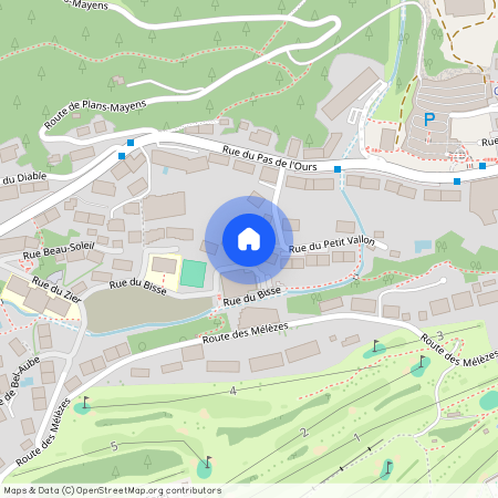 3963, Crans-Montana, Rue du Petit Vallon, 24