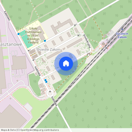 ul. Produkcyjna, Załom-Kasztanowe, Prawobrzeże, Szczecin, zachodniopomorskie