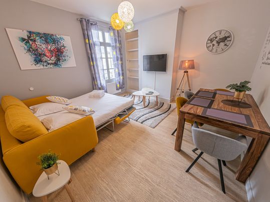 Location Appartement 1 pièce 28m² SAUMUR 49400 - Photo 1