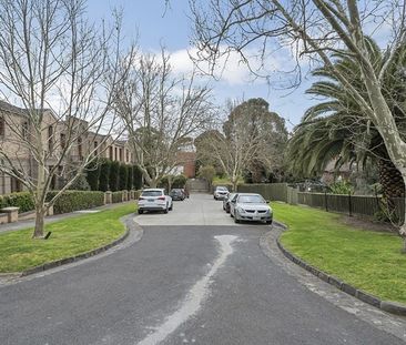 2/125 Walpole Street, Kew VIC 3101 - Townhouse For Rent | Domain - Photo 3