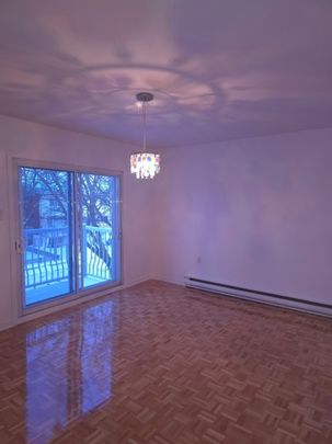 9102 Rue Maritain, H1R 3K6, H1R 3K6, Montréal - Photo 1