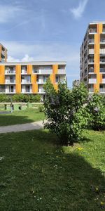 Gut aufgeteilte Garconniere in Reininghaus - Photo 3