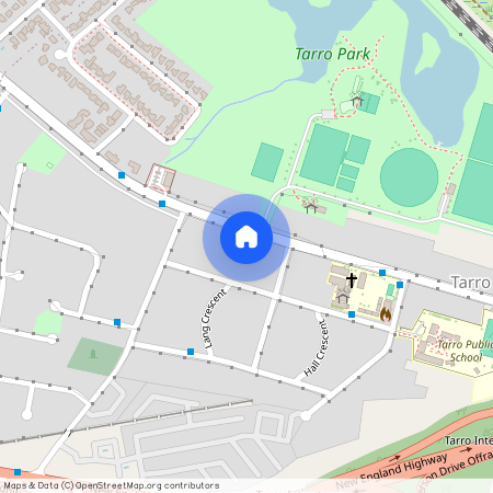 66 Anderson Drive, NSW 2322, Tarro