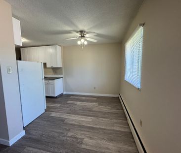 SPACIOUS 2 Bedroom APARTMENT!! GREAT LOCATION Downtown!!! - Photo 6